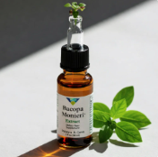 Grape Seed Extract — uvas e sementes secas